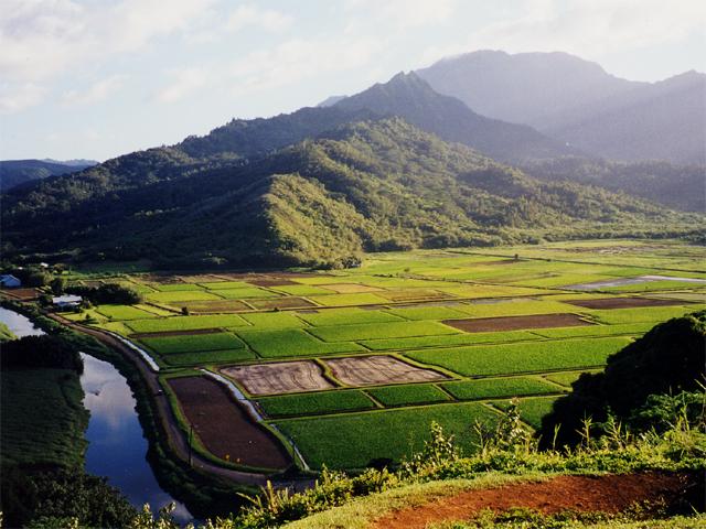 Landschaft 1.jpg